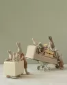 Bunnies & Rabbits
